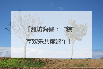 潍坊海警：“粽”享欢乐共度端午