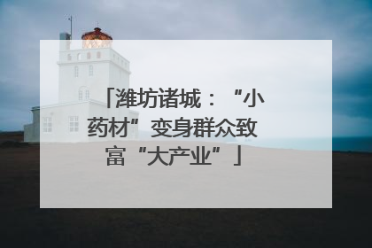 潍坊诸城：“小药材”变身群众致富“大产业”