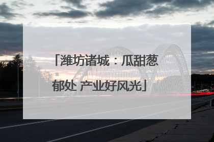 潍坊诸城：瓜甜葱郁处 产业好风光