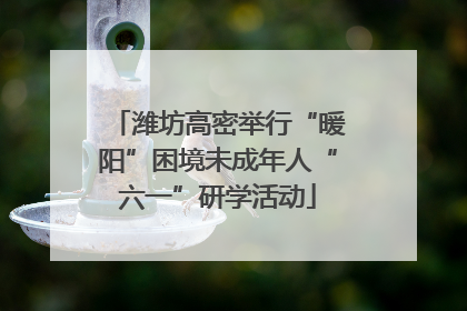 潍坊高密举行“暖阳”困境未成年人“六一”研学活动