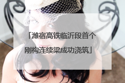 潍宿高铁临沂段首个刚构连续梁成功浇筑