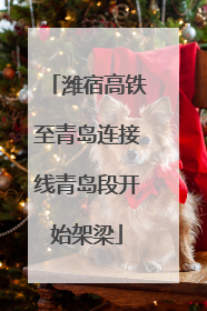 潍宿高铁至青岛连接线青岛段开始架梁