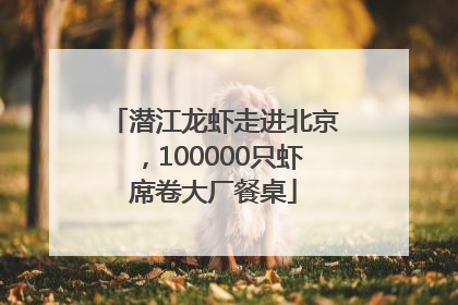潜江龙虾走进北京，100000只虾席卷大厂餐桌