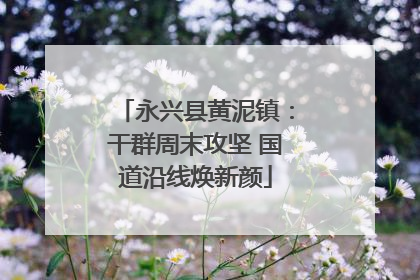 永兴县黄泥镇：干群周末攻坚 国道沿线焕新颜