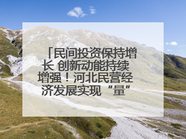 民间投资保持增长 创新动能持续增强！河北民营经济发展实现“量”“质”双提升