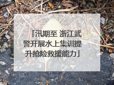 汛期至 浙江武警开展水上集训提升抢险救援能力