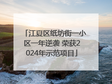 江夏区纸坊街一小区一年逆袭 荣获2024年示范项目