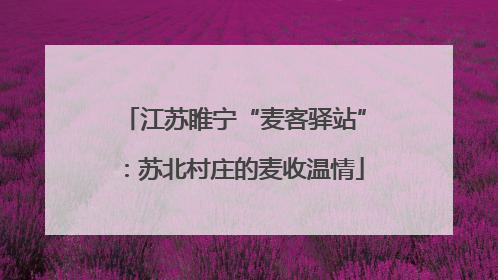 江苏睢宁“麦客驿站”：苏北村庄的麦收温情