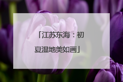 江苏东海：初夏湿地美如画