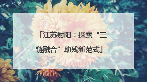 江苏射阳：探索“三链融合”助残新范式