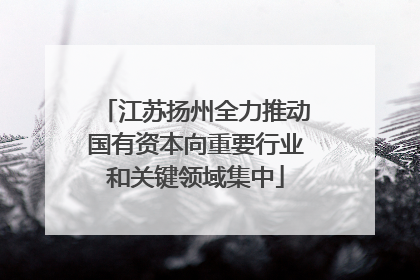 江苏扬州全力推动国有资本向重要行业和关键领域集中