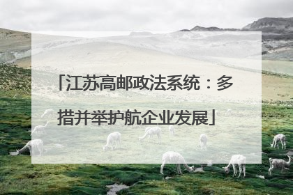 江苏高邮政法系统：多措并举护航企业发展
