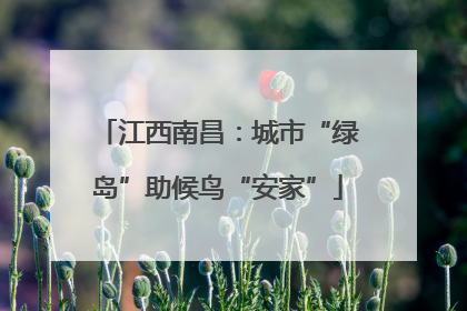 江西南昌：城市“绿岛”助候鸟“安家”