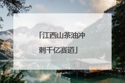 江西山茶油冲刺千亿赛道