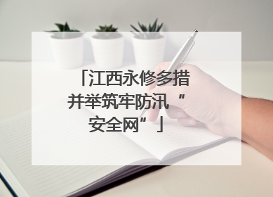 江西永修多措并举筑牢防汛“安全网”