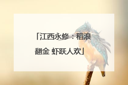 江西永修：稻浪翻金 虾跃人欢