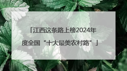 江西这条路上榜2024年度全国“十大最美农村路”