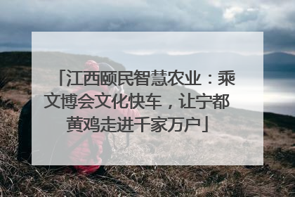 江西颐民智慧农业：乘文博会文化快车，让宁都黄鸡走进千家万户