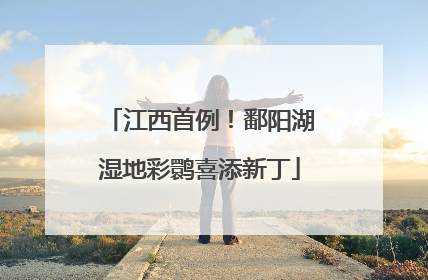 江西首例！鄱阳湖湿地彩鹮喜添新丁
