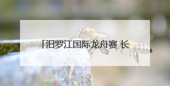汨罗江国际龙舟赛 长沙科技学院大放异彩