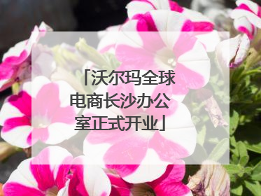 沃尔玛全球电商长沙办公室正式开业