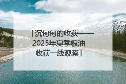 沉甸甸的收获——2025年夏季粮油收获一线观察
