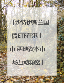 沙特伊斯兰国债ETF在港上市 两地资本市场互动频密