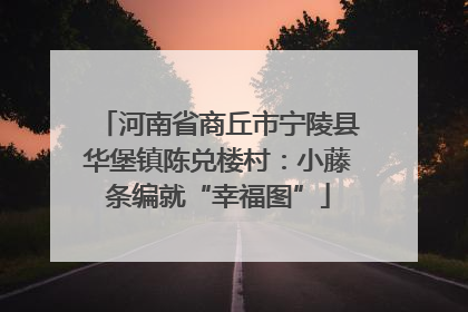 河南省商丘市宁陵县华堡镇陈兑楼村：小藤条编就“幸福图”