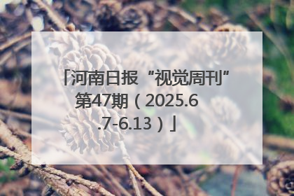 河南日报“视觉周刊”第47期（2025.6.7-6.13）