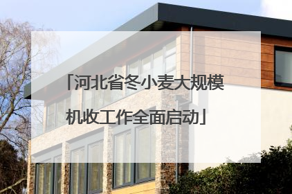 河北省冬小麦大规模机收工作全面启动