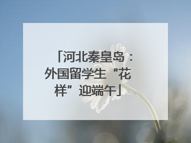 河北秦皇岛：外国留学生“花样”迎端午