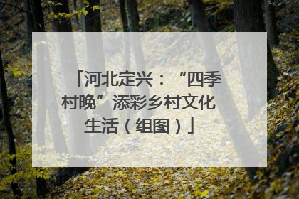 河北定兴：“四季村晚”添彩乡村文化生活（组图）