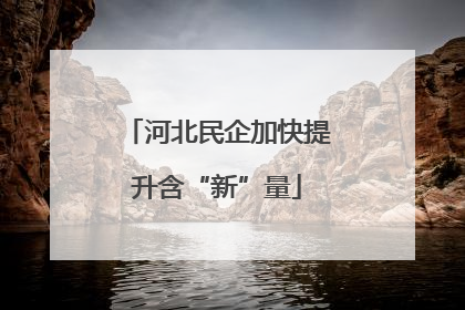 河北民企加快提升含“新”量