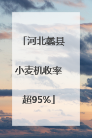 河北蠡县小麦机收率超95%