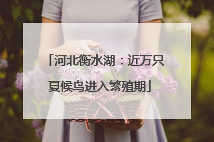 河北衡水湖：近万只夏候鸟进入繁殖期