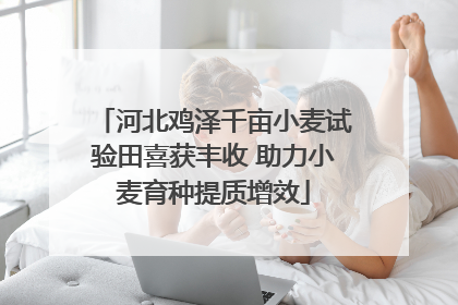 河北鸡泽千亩小麦试验田喜获丰收 助力小麦育种提质增效