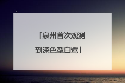 泉州首次观测到深色型白鹭