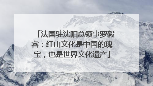 法国驻沈阳总领事罗毅睿：红山文化是中国的瑰宝，也是世界文化遗产