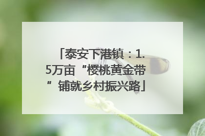 泰安下港镇：1.5万亩“樱桃黄金带”铺就乡村振兴路