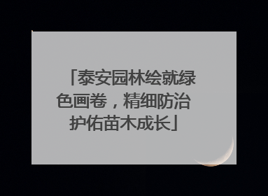 泰安园林绘就绿色画卷，精细防治护佑苗木成长