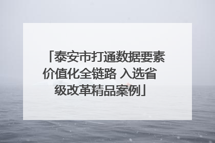 泰安市打通数据要素价值化全链路 入选省级改革精品案例