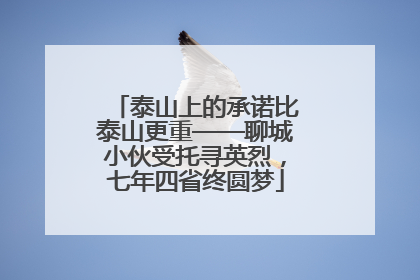 泰山上的承诺比泰山更重——聊城小伙受托寻英烈，七年四省终圆梦