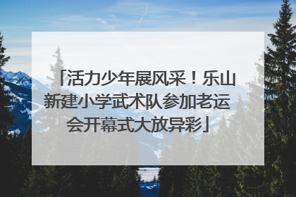 活力少年展风采！乐山新建小学武术队参加老运会开幕式大放异彩
