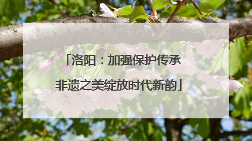 洛阳：加强保护传承 非遗之美绽放时代新韵