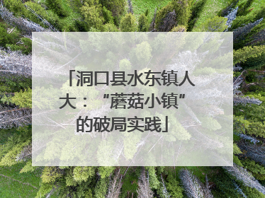 洞口县水东镇人大：“蘑菇小镇”的破局实践