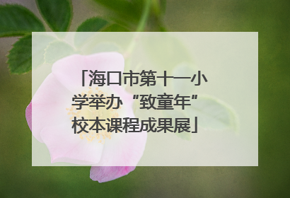 海口市第十一小学举办“致童年”校本课程成果展