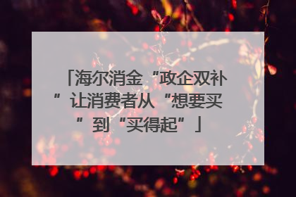 海尔消金“政企双补”让消费者从“想要买”到“买得起”