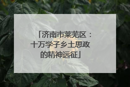 济南市莱芜区：十万学子乡土思政的精神远征