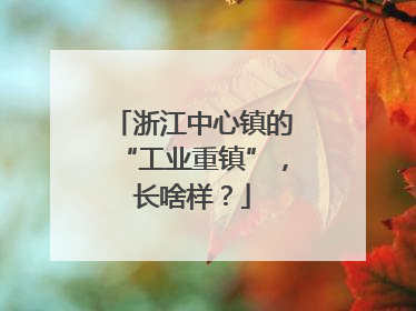浙江中心镇的“工业重镇”，长啥样？