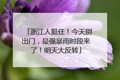 浙江人挺住！今天别出门，最强暴雨时段来了！明天大反转